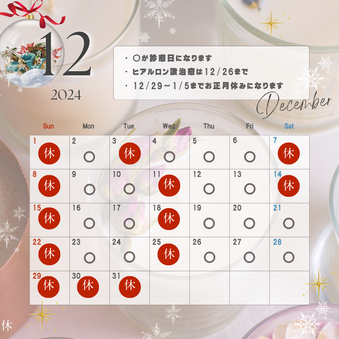 12月の診療日